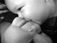 /album/fotogaleria-obrazky/cmuk-gif/